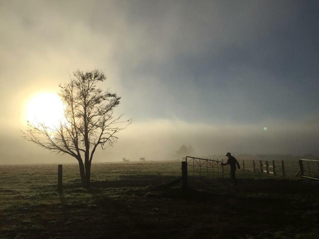 Mohaka River Farm Te Haroto Exterior photo